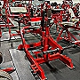 Seated Calf