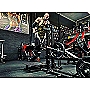 Belt Squat Machine 3.5 (dips, squat, multifinctional)