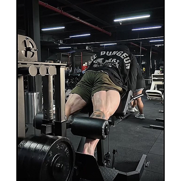 PRO Plate-Loaded Cable Hyperextension