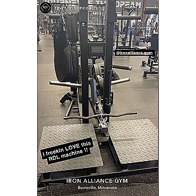 Belt Squat Machine 3.5 (dips, squat, multifinctional)