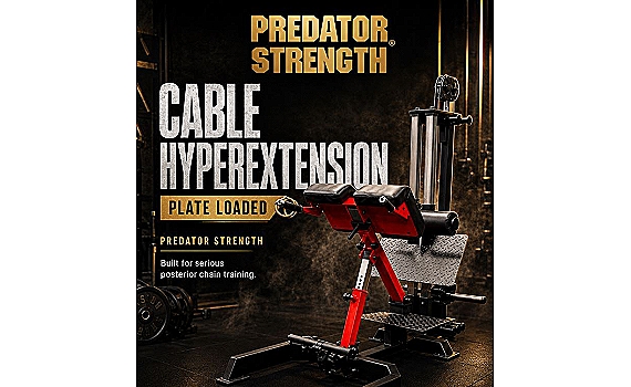 Cable Hyperextension (plate loaded) v.2