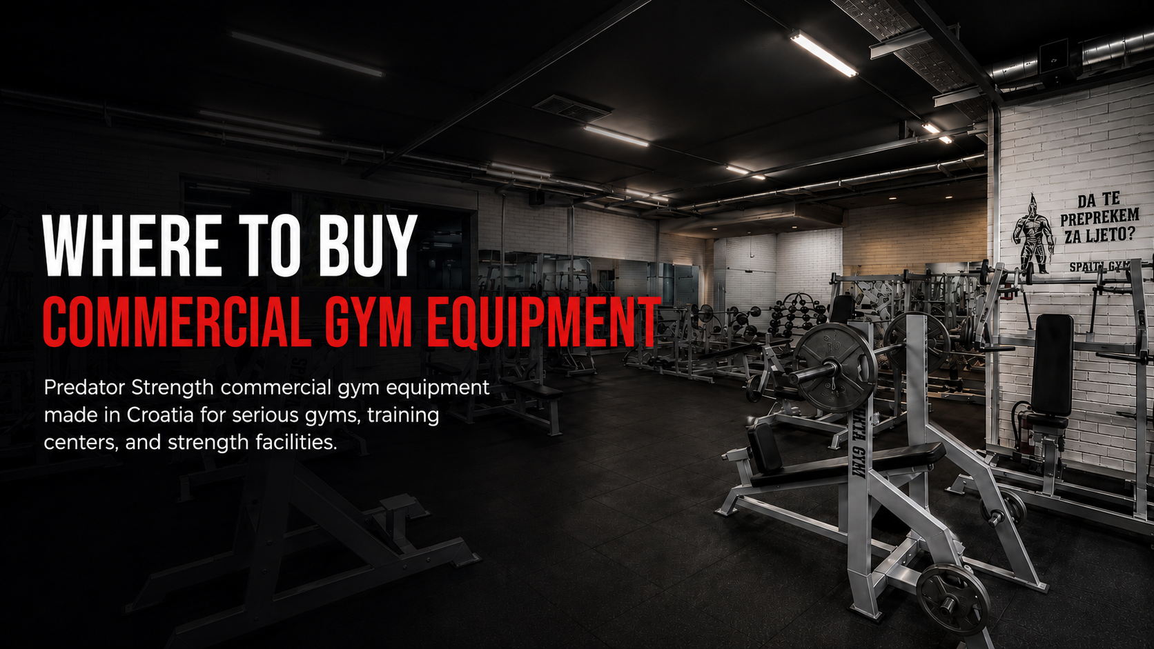 Where to Buy Commercial Gym Equipment